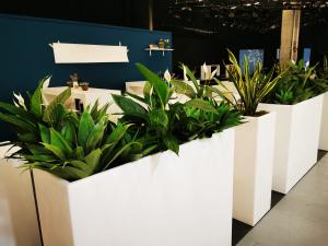 Cool Raumteiler inkl. Sansevieria 2